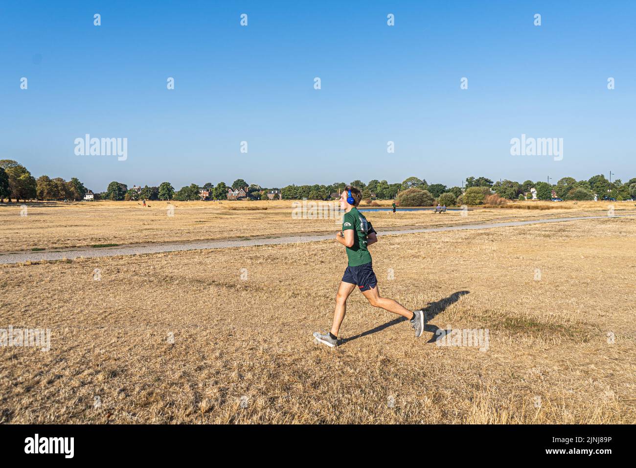 Wimbledon London, UK. 12 August 2022 . A jogger running  on the parched landscape on Wimbledon Common south-west London this morning.  The Met Office  has issued and a heatwave Amber weather for London and the South East of England warning as temperatures are expected to hit up to 37c this weekend and the UK Environment agency is set to officially declare drought  conditions in parts of the United Kingdom as 5.4 million people face a  hosepipe ban Credit. amer ghazzal/Alamy Live News Stock Photo