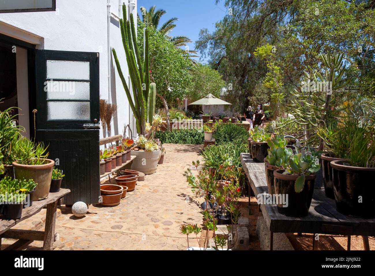 Die Gieter Botanical Decor Store at Handelshuis in Simondium, Western Cape - South Africa Stock Photo