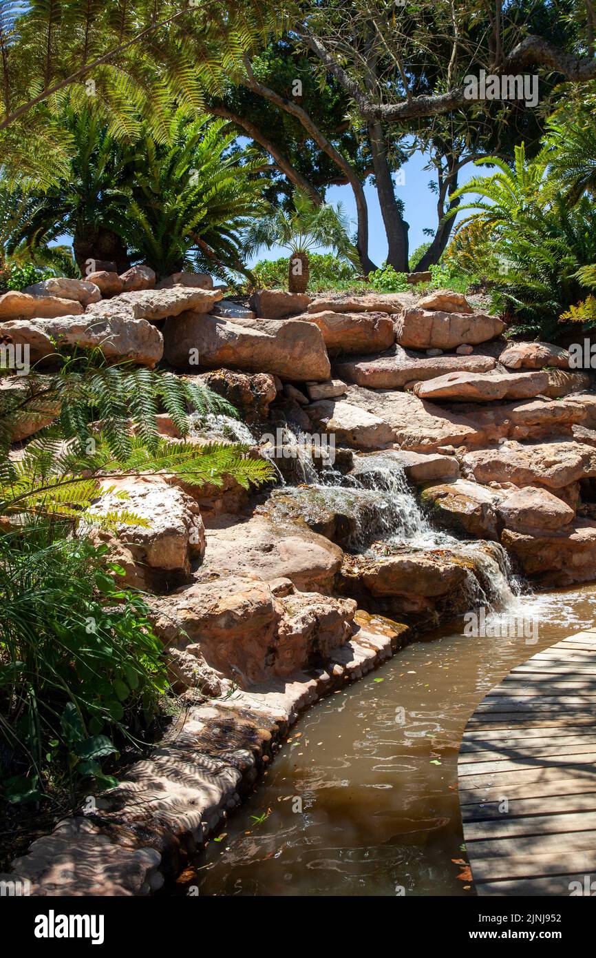 Cycad Collection Area with Water Features at Babylonstoren Garden at Simondium in Western Cape, South Africa Stock Photo