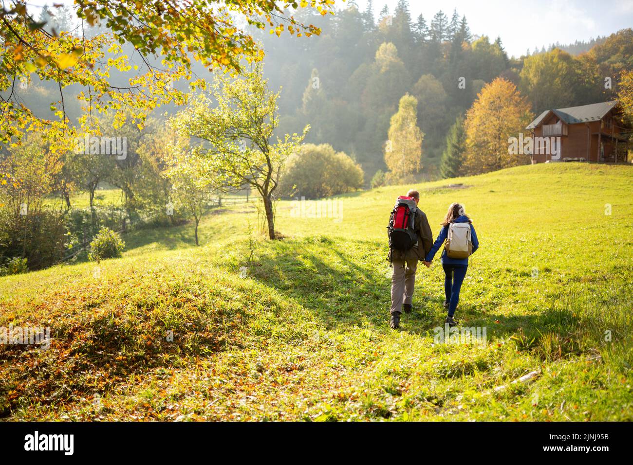 Rear view of two young hikers with backpacks holding hands and up a ...