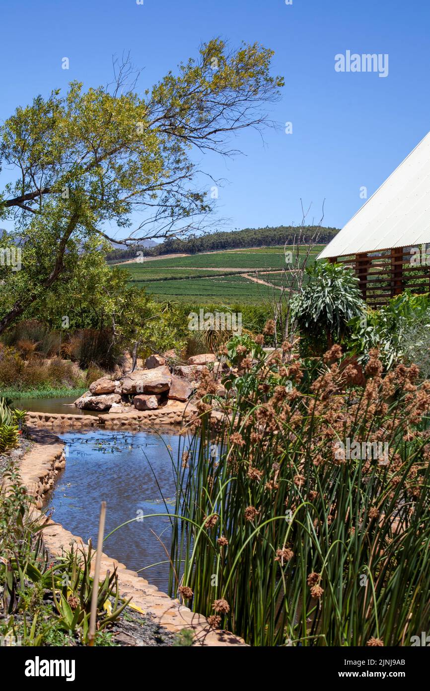 Stream at Babylonstoren Garden at Simondium in Western Cape, South Africa Stock Photo