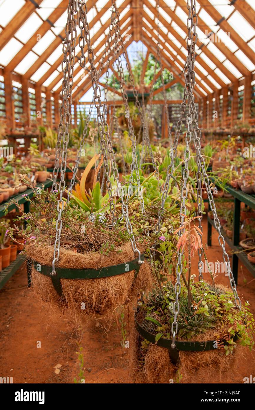Succulent House at Babylonstoren Garden at Simondium in Western Cape, South Africa Stock Photo