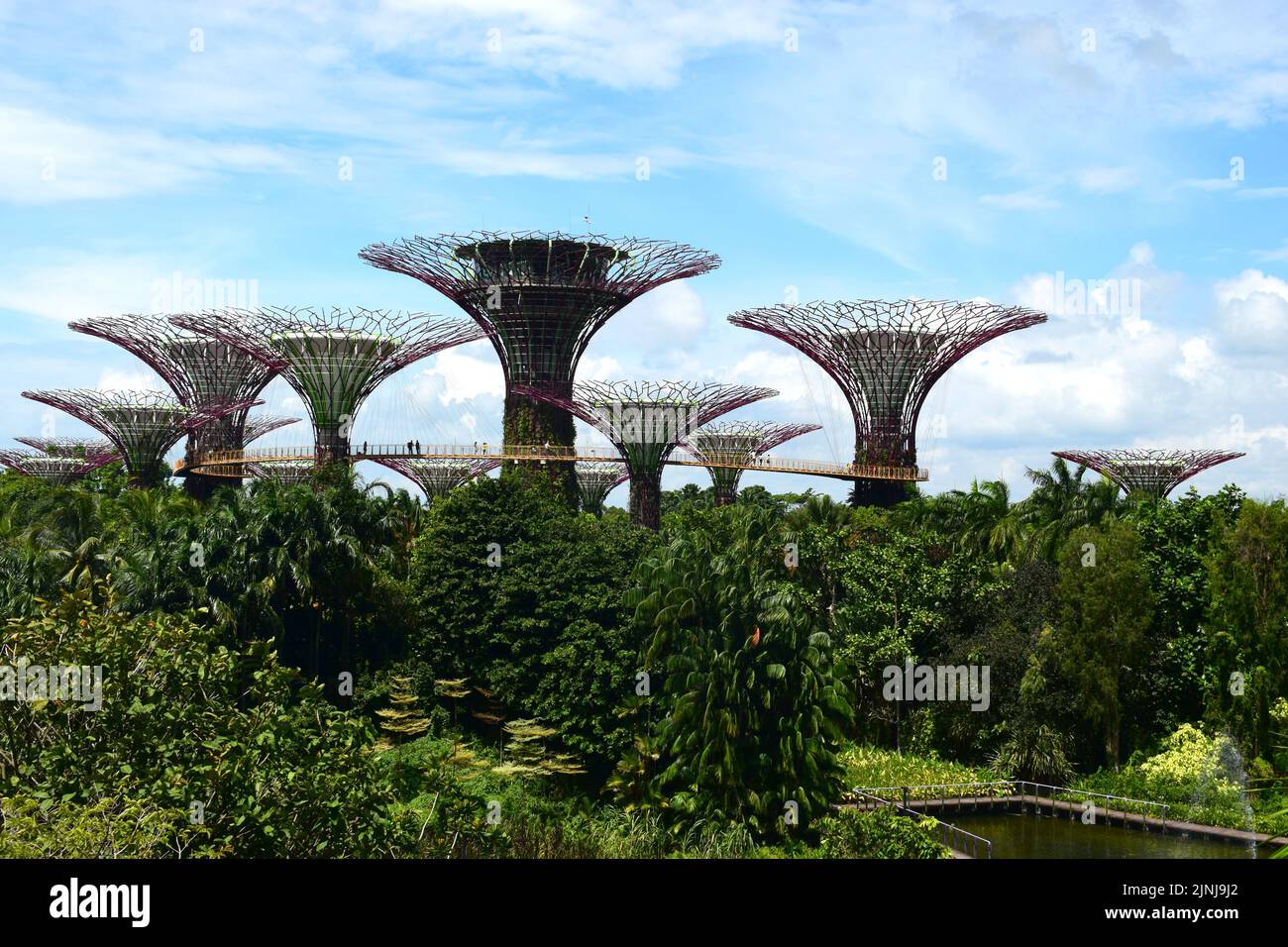 Super Trees Singapore Stock Photo Alamy