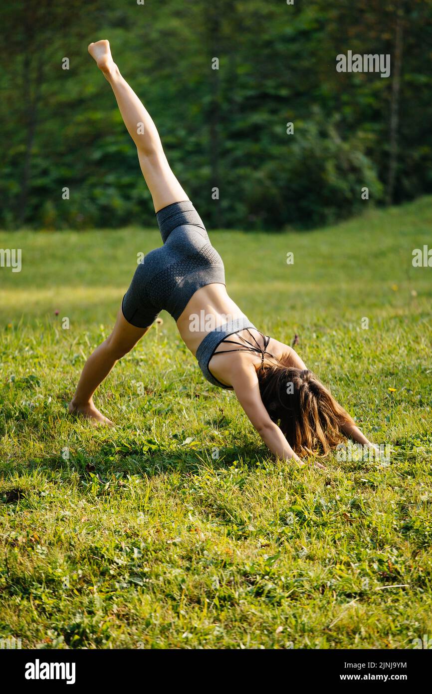 Yoga in Pair. Women. Duo. Balance on One Leg Stock Photo - Image of  concentration, background: 64953108