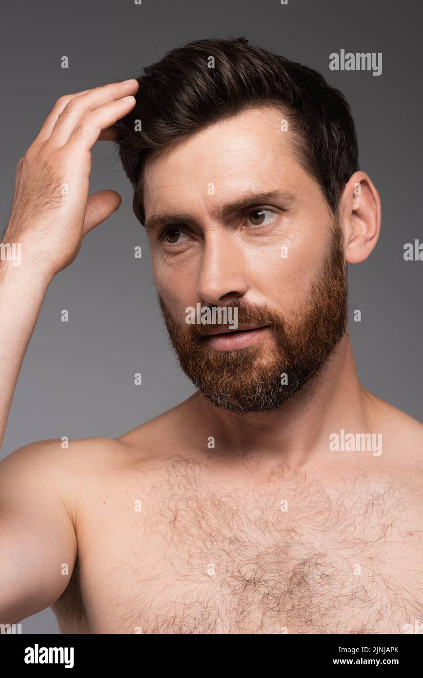 portrait of man with beard adjusting brown hair isolated on grey,stock image Stock Photo