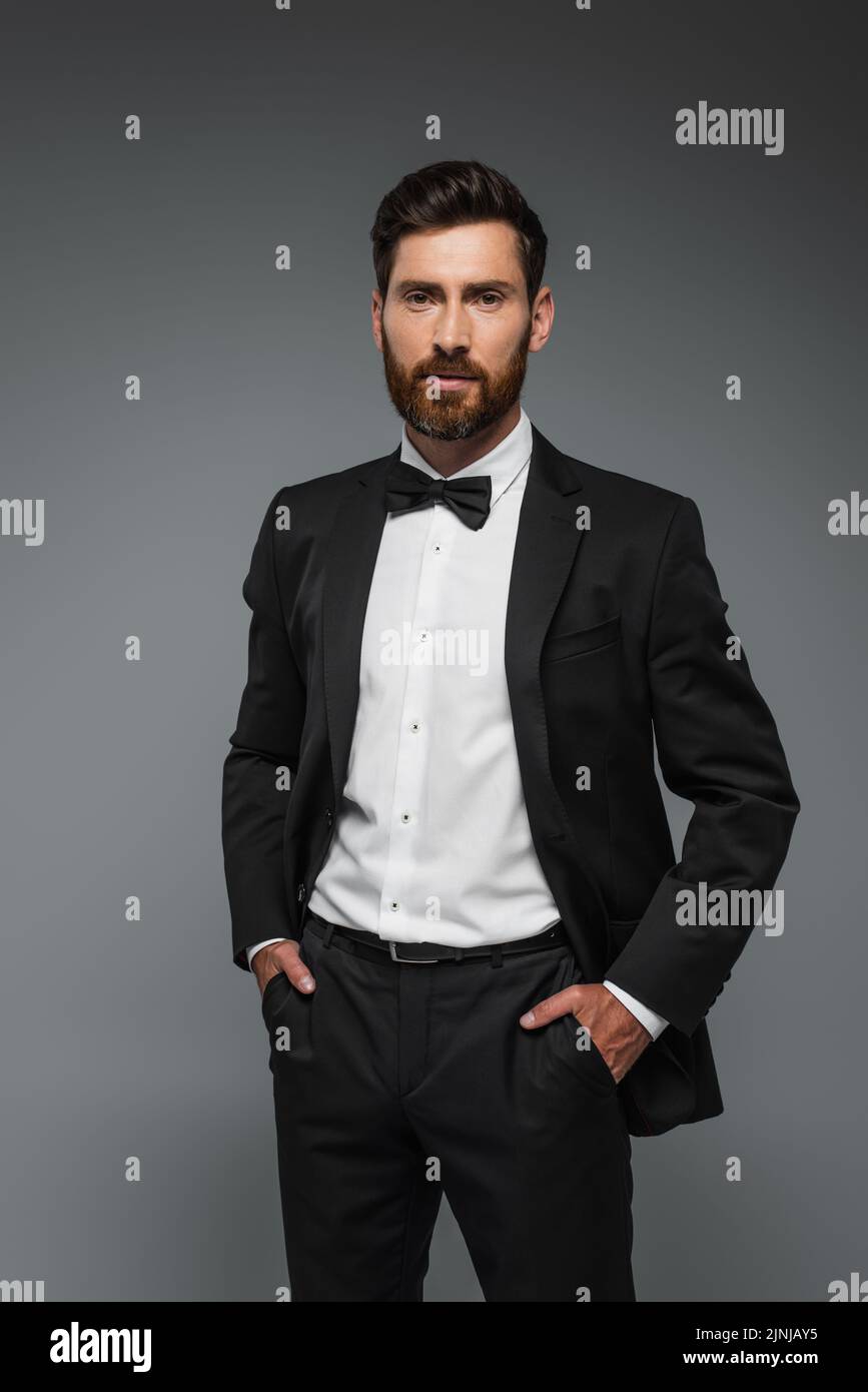 bearded man in elegant tuxedo with bow tie posing with hands in pockets isolated on grey,stock image Stock Photo