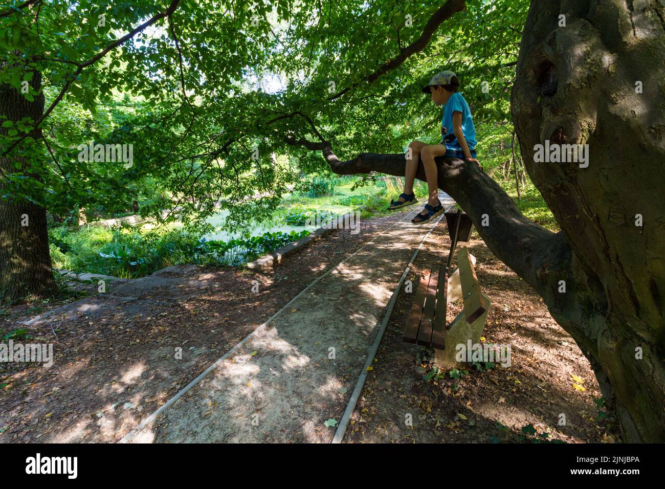 Boy child kid while sitting on a tree branch looking at pond in Botanic Garden of University of Sopron, Hungary Stock Photo