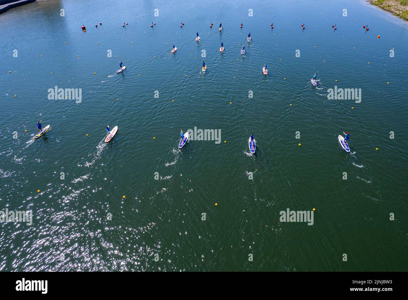 lot of people are swimming standing on the board in the water rowing with oars. Summer fun on the water. SUP on calm water. top view Stock Photo