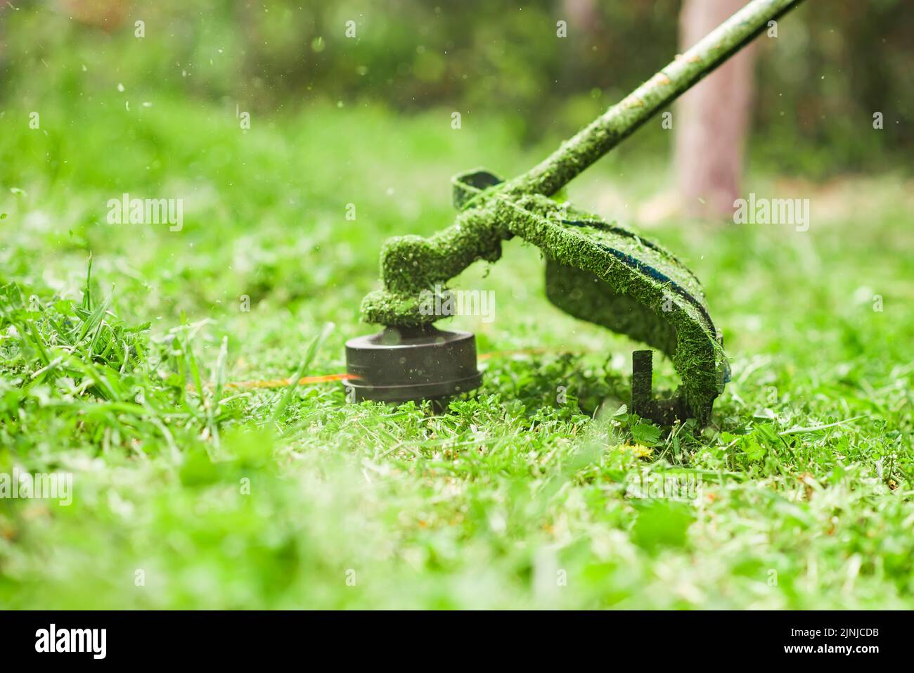 Gardening. Cutting the lawn with cordless grass trimmer, edger, close