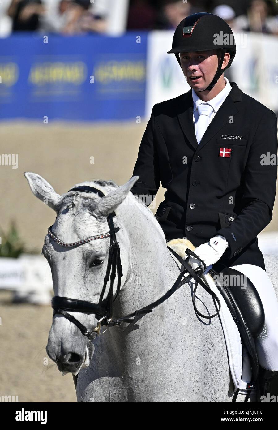 Herning. Denmark. 11 August 2022. World Equestrian Games. Stutteri Ask ...