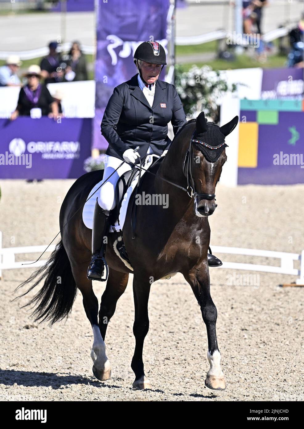 Herning. Denmark. 11 August 2022. World Equestrian Games. Stutteri Ask