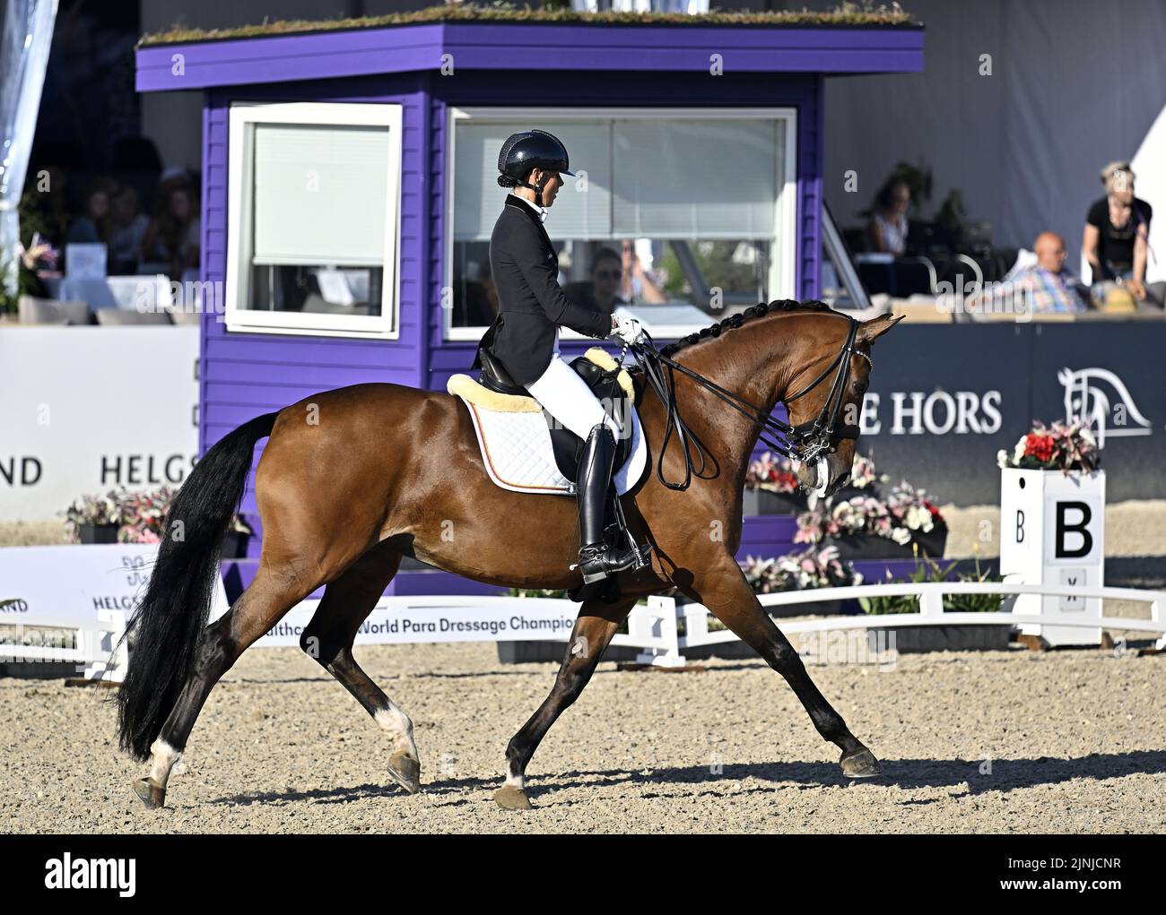 Herning, Denmark. 11th Aug, 2022. World Equestrian Games. Stutteri Ask ...