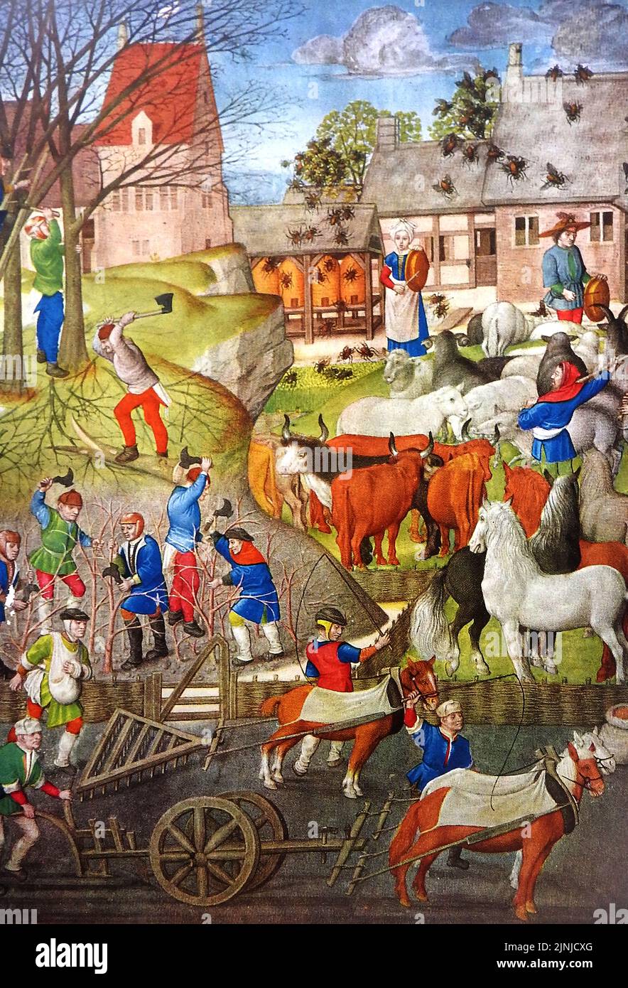 An early British colour illustration of a medieval farm showing beekeepers (banging metal utensils to make the bees settle), forestry workers or woodmen, hurdle makers, animal husbandry,(with cows, sheep and horses, a ploughman , a man with a horse-drawn harrow and another following behind sowing seeds from a bag around his waist. Stock Photo