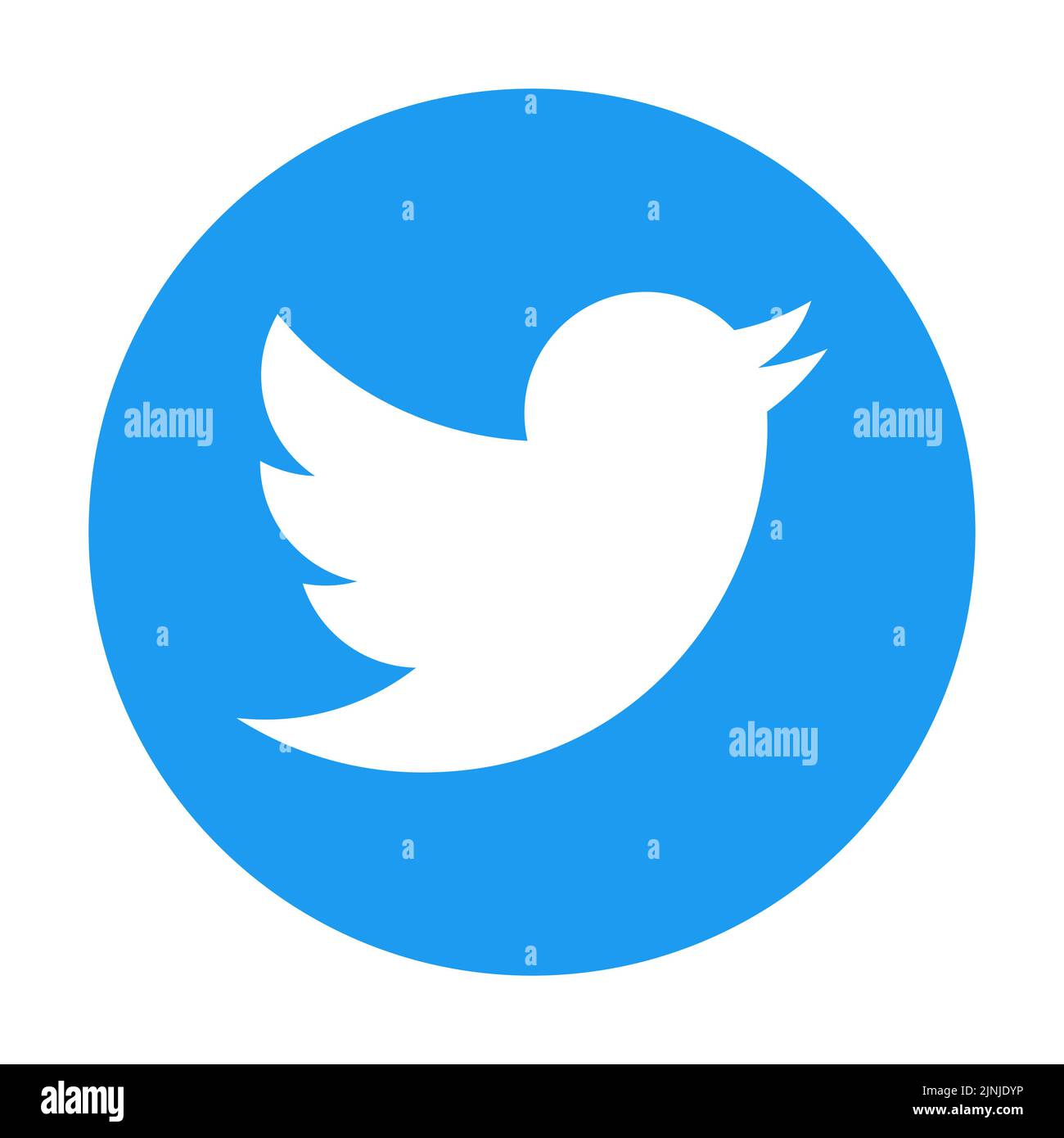Twitter social media app icon Stock Vector