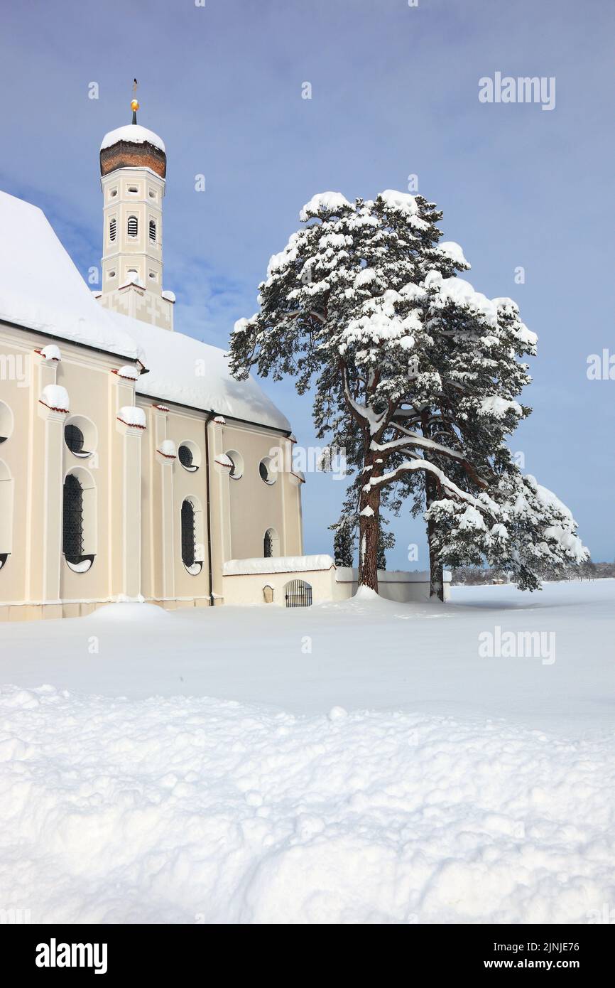 Die barocke Colomanskirche, St. Coloman, im Winter in tiefverschneiter Landschaft, nahe Schwangau, Östallgäu, Schwaben, Bayern, Deutschland  /  The ba Stock Photo