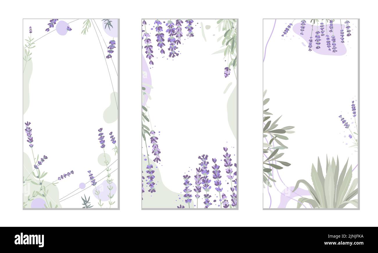 Abstract floral background, social media stories template with lavender plant. Elegant herbs and shapes, pastel colors. Space for text. Stock Vector