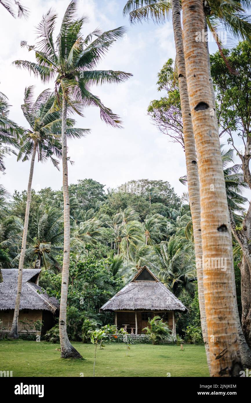A vertical shot of tropical beach huts and palm trees Stock Photo - Alamy