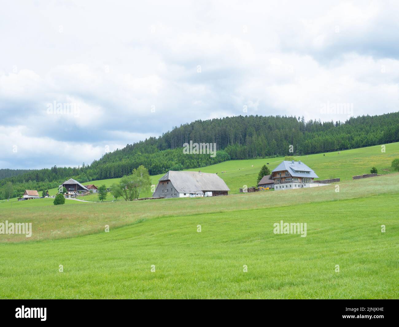 Black Forest, Germany May 28th 2022 Typical historic farming houses