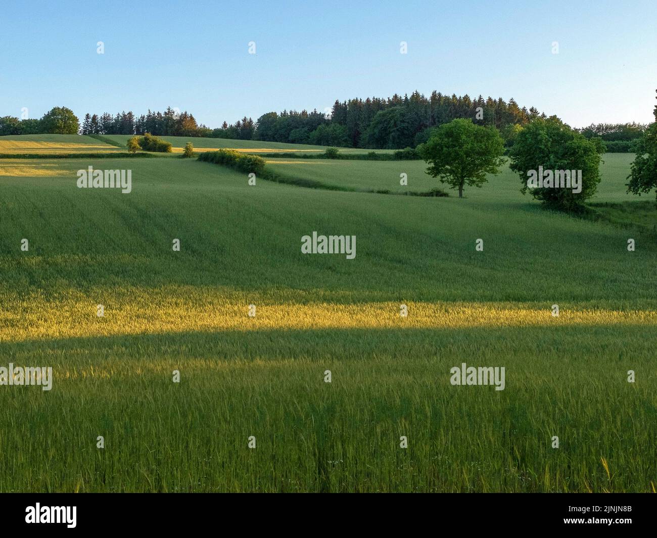Ground moranic landscapes hi-res stock photography and images - Alamy