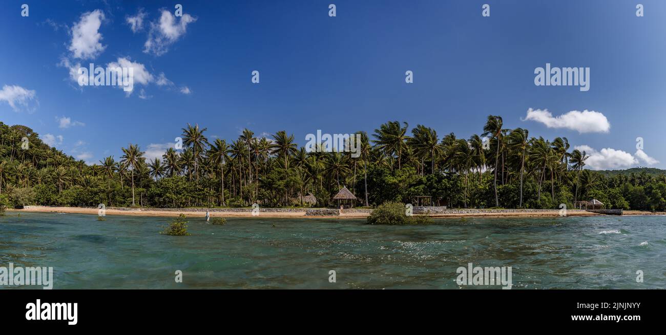 Rocky beach palm trees hi-res stock photography and images - Alamy