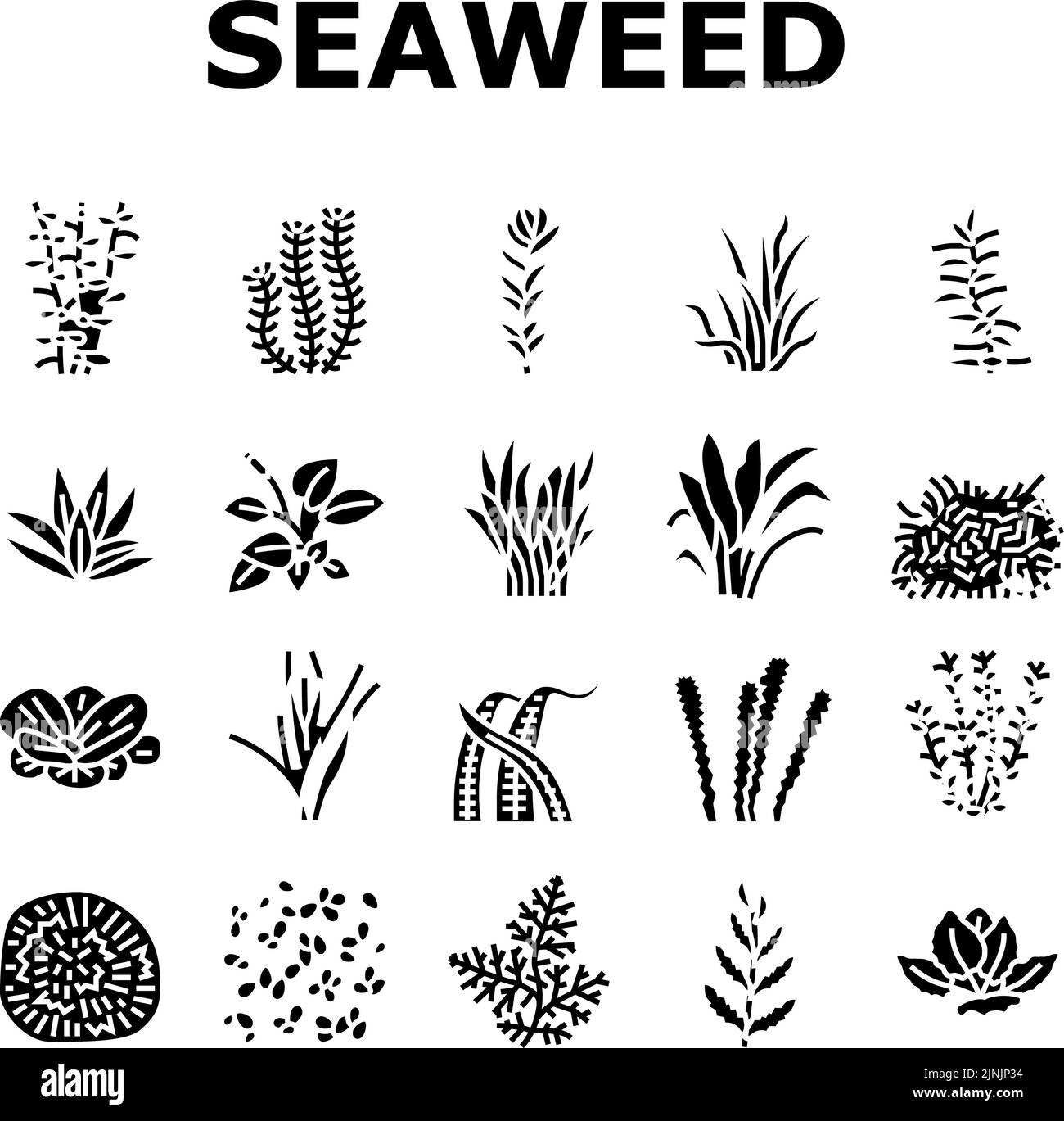 Aquatic Seaweed Natural Plant Icons Set Vector Stock Vector