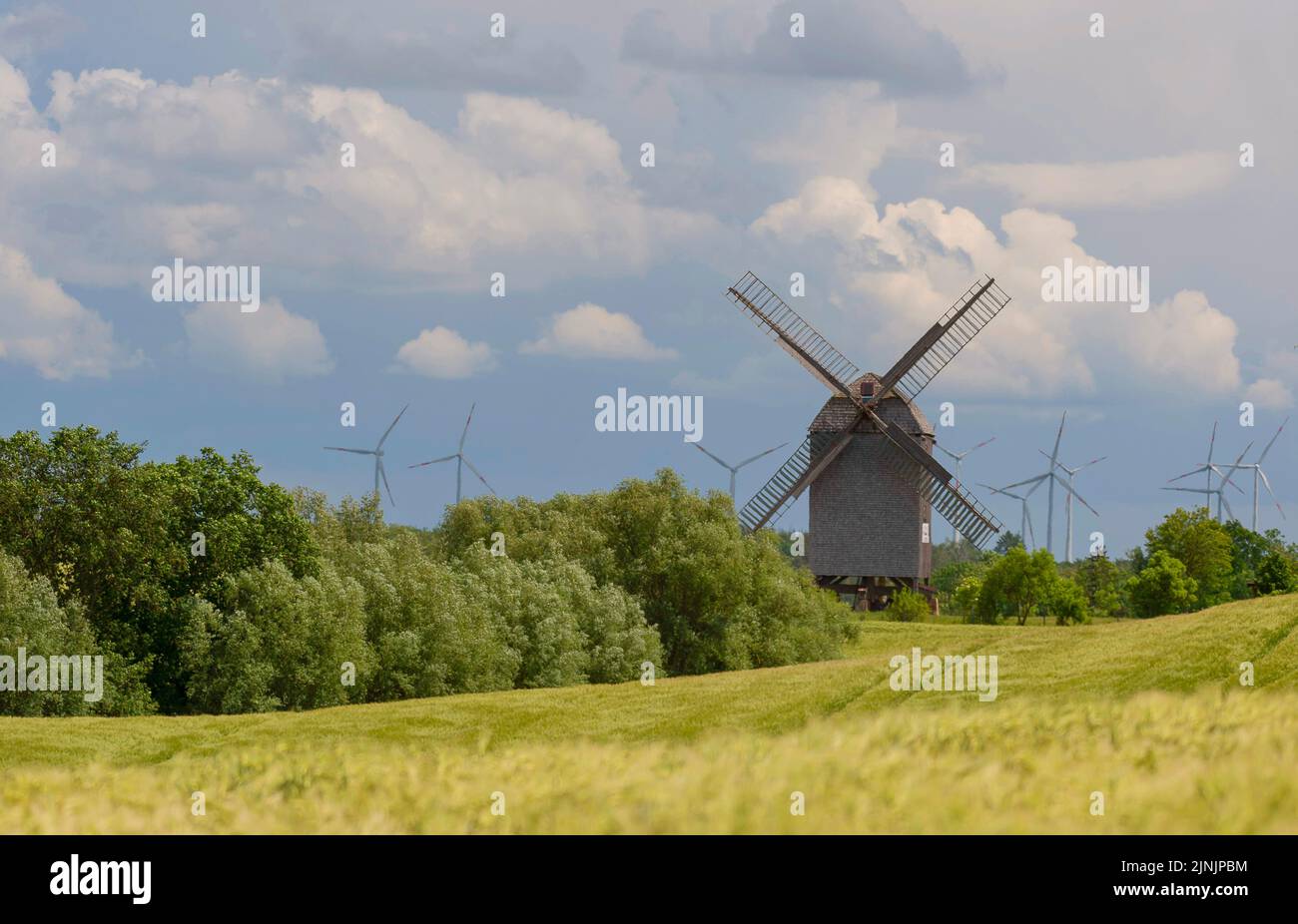 Post windmill Storkow, standing on an end moraine, Germany, Brandenburg, Uckermark Stock Photo