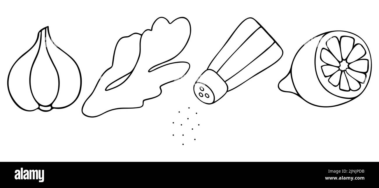 Garlic, ginger, salt and lemon doodle style illustration set Stock Vector