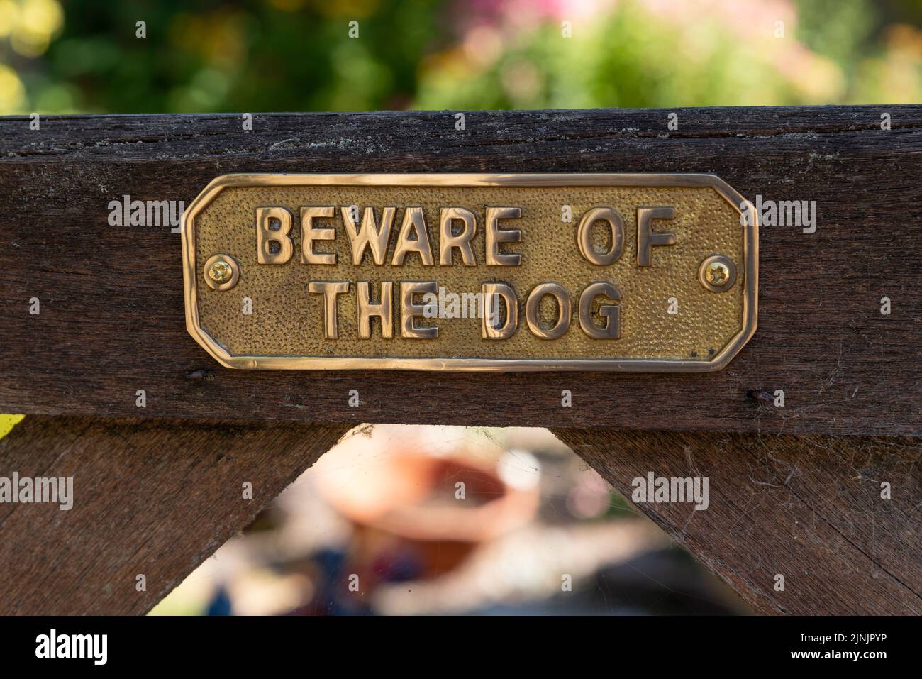 Hampshire, England, UK. 2022. Beware of the dog sign on a wooden gate. Stock Photo