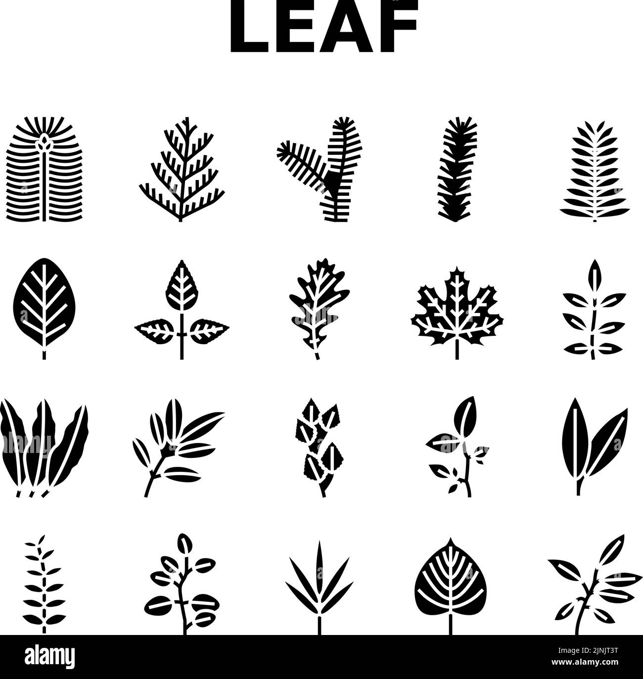 Leaf Of Tree, Bush Or Flower Icons Set Vector Stock Vector