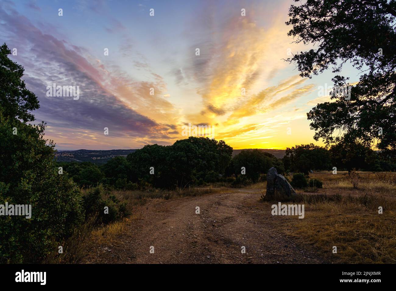 Golden sunrise in the field with stony dirt road Stock Photo - Alamy