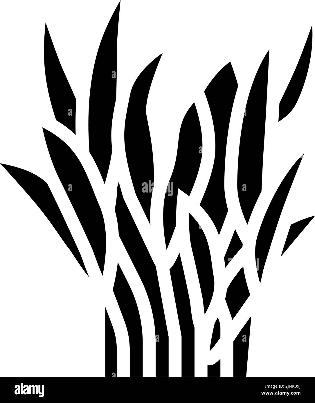 java fern glyph icon vector illustration Stock Vector