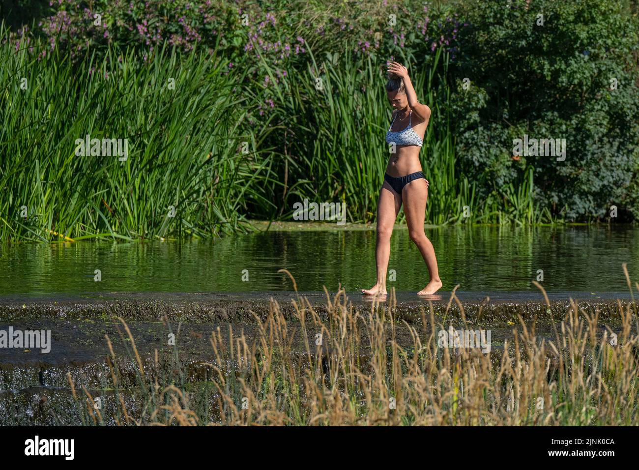 12.08.22. WEATHER SOMERSET.  People enjoy the water at Warleigh Weir on the River Avon near Bath in Somerset as temperatures continue to soar across t Stock Photo