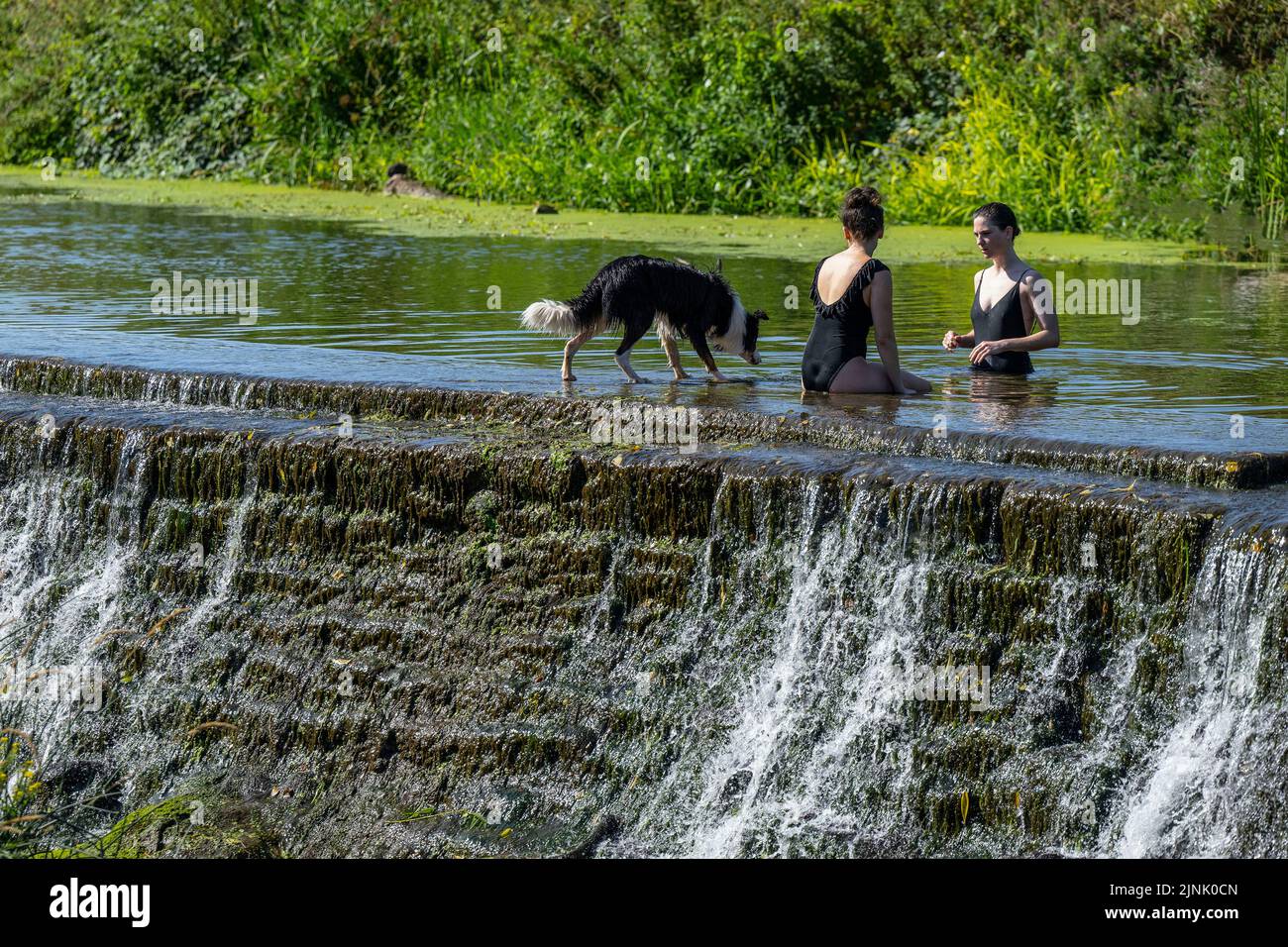 12.08.22. WEATHER SOMERSET.  People enjoy the water at Warleigh Weir on the River Avon near Bath in Somerset as temperatures continue to soar across t Stock Photo