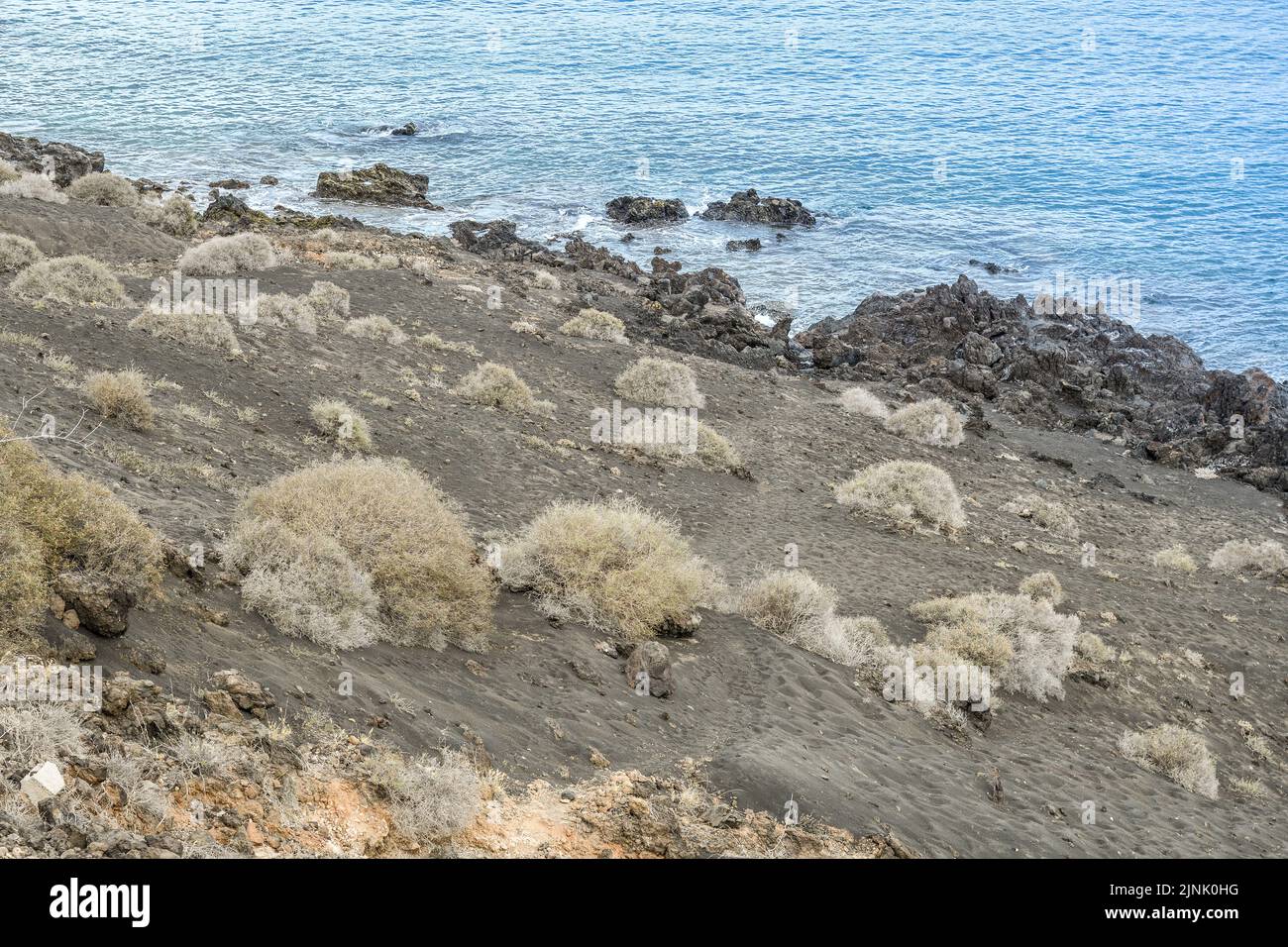 Ahulaga de Lanzarote on the volcanic ash by the sea Stock Photo