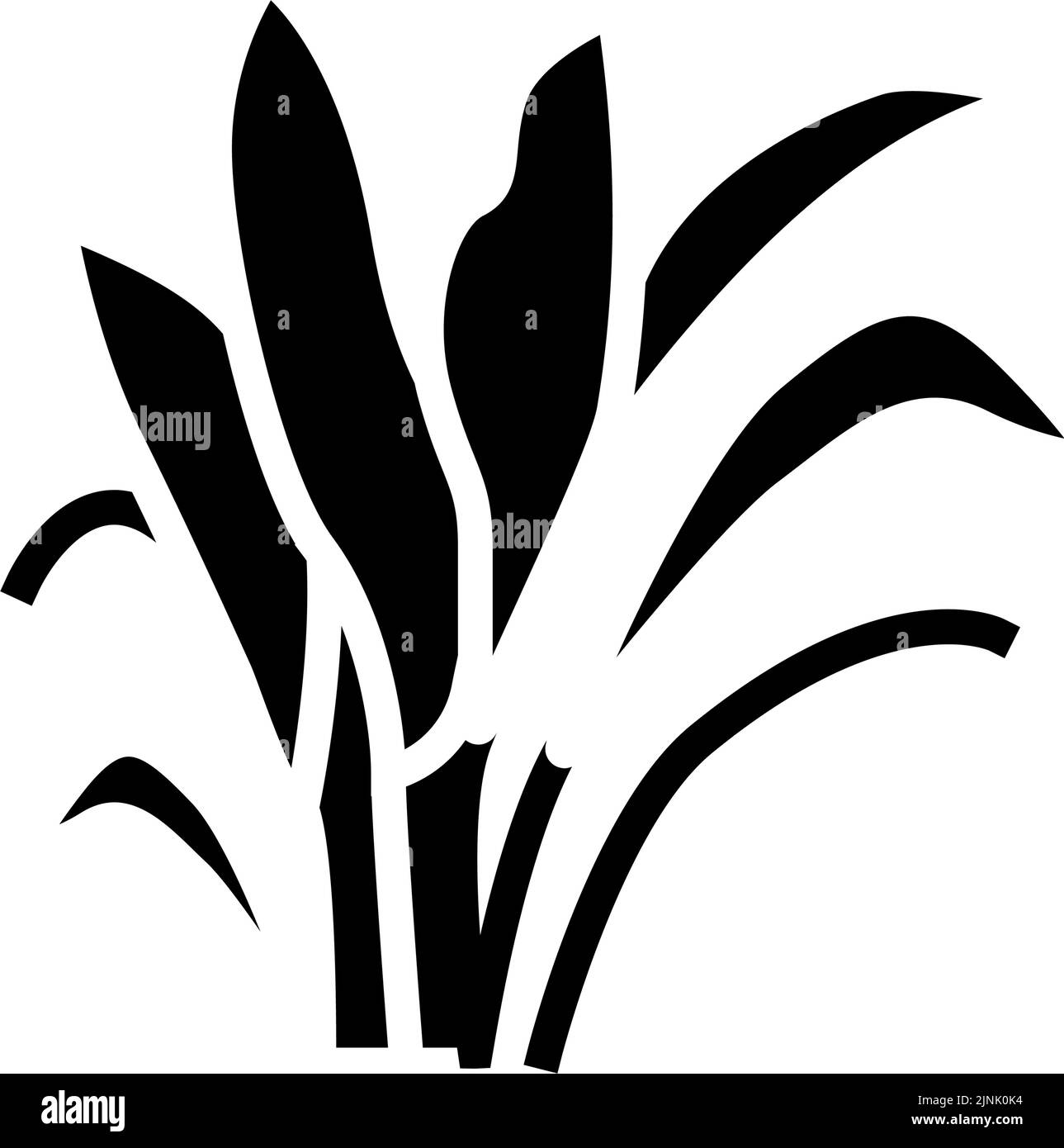 amazon sword glyph icon vector illustration Stock Vector