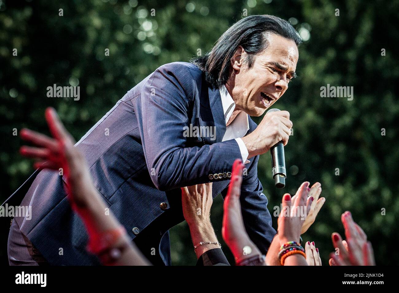 Nick Cave performing live on stage Stock Photo Alamy