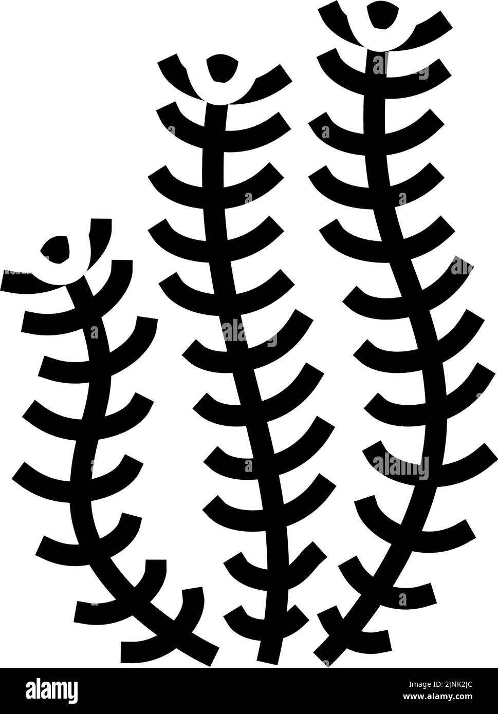 hornwort marine seaweed glyph icon vector illustration Stock Vector
