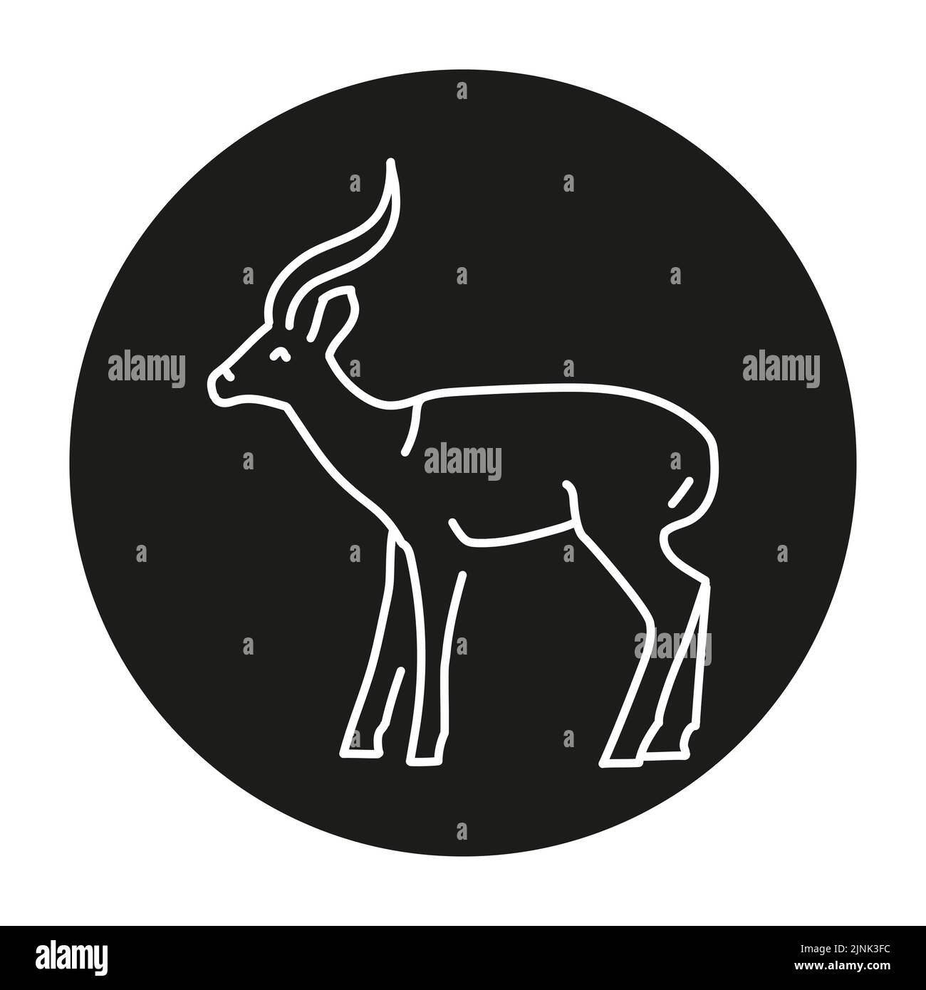 Gazelle color line illustration. Animals of Africa Stock Vector Image