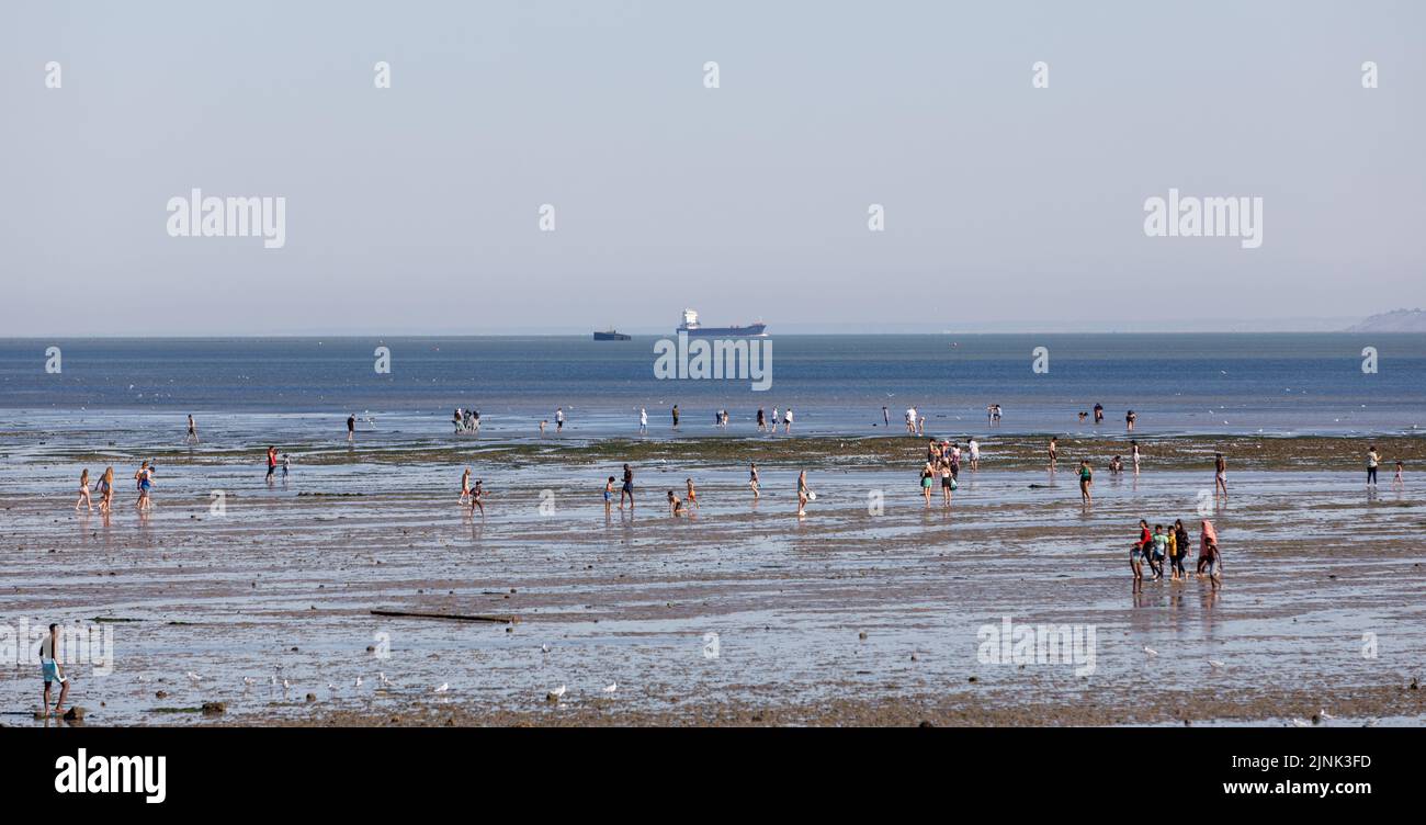 Many people walk and play on Jubilee Beach, Southend at low tide with a large container ship on the horizon heading into the River Thames estuary Stock Photo