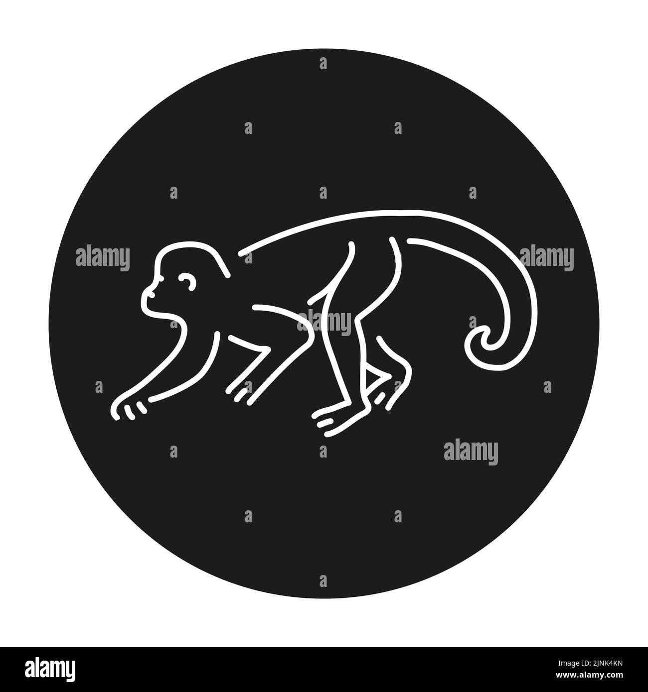 Monkey color line illustration. Animals of Africa Stock Vector Image