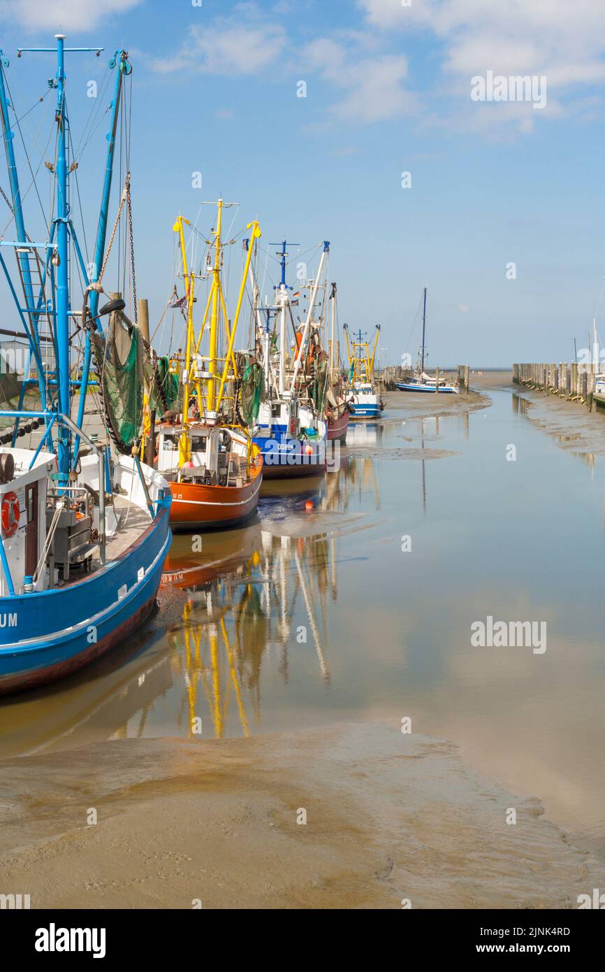 Fishing boats at the harbor of Dorum-Neufeld on the North Sea coast of Lower Saxony, Germany,  at low tide Stock Photo