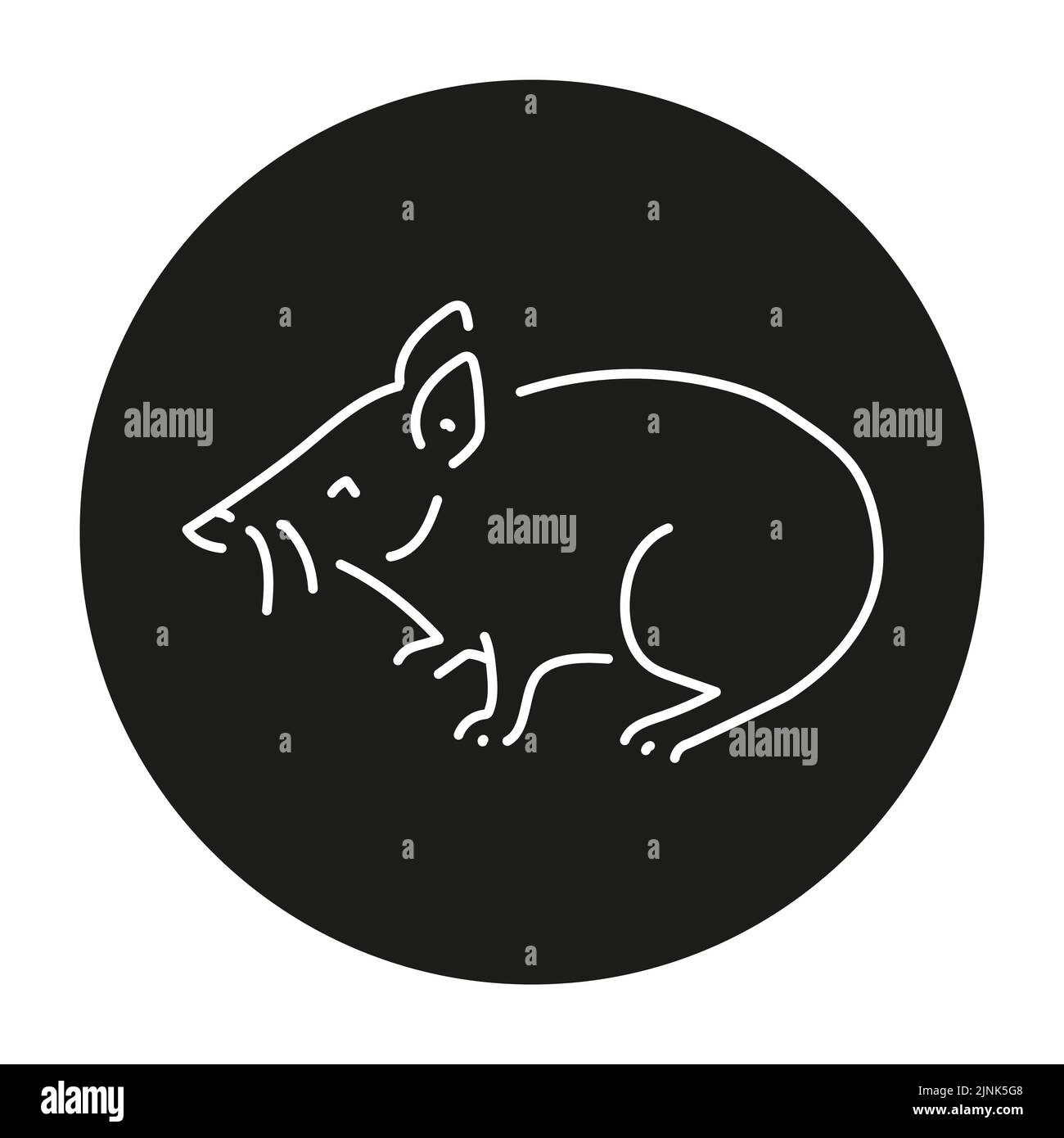 Proboscis couscous color line illustration. Animals of Australia Stock ...