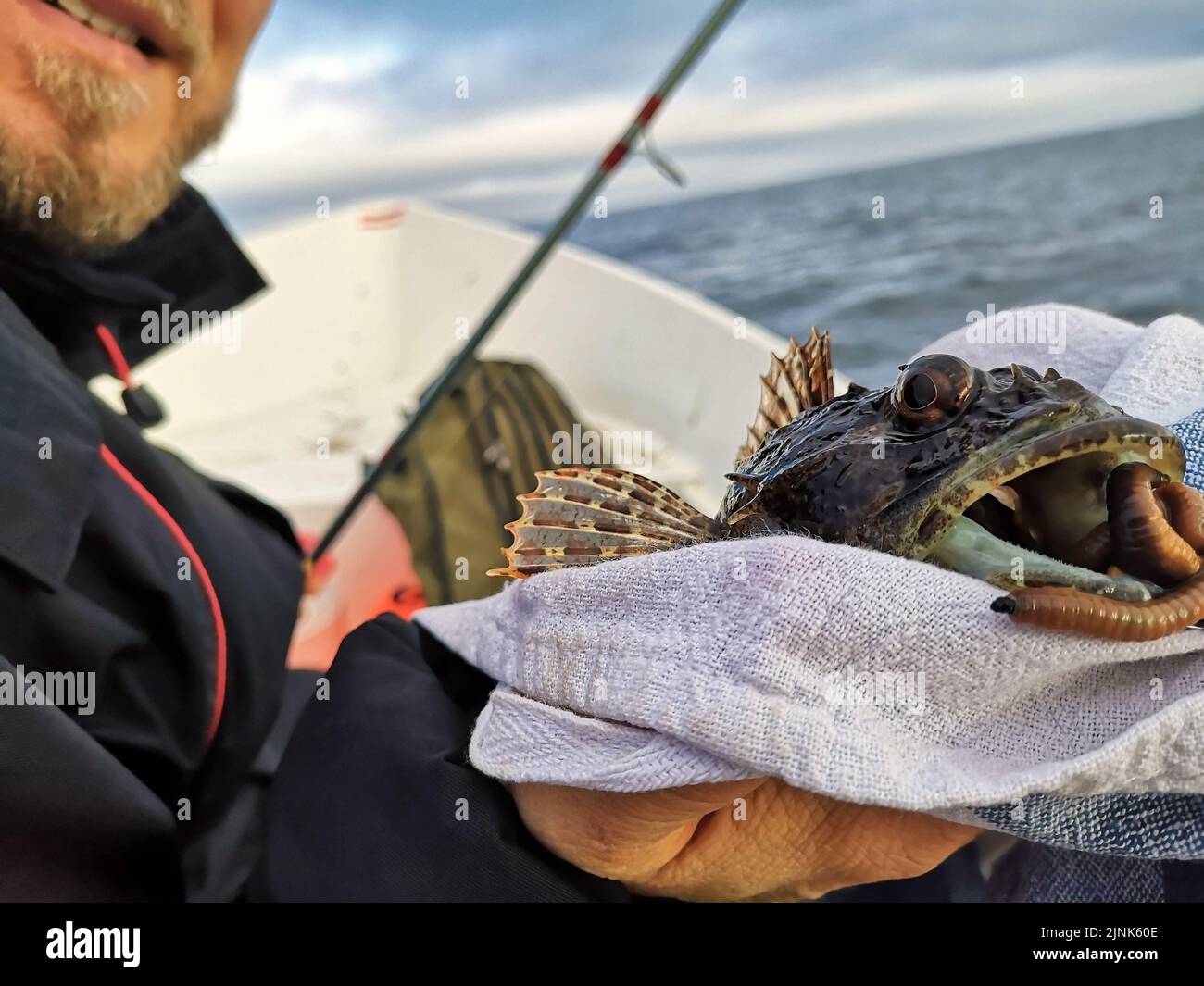fisherman, myoxocephalus scorpius, fishermen Stock Photo