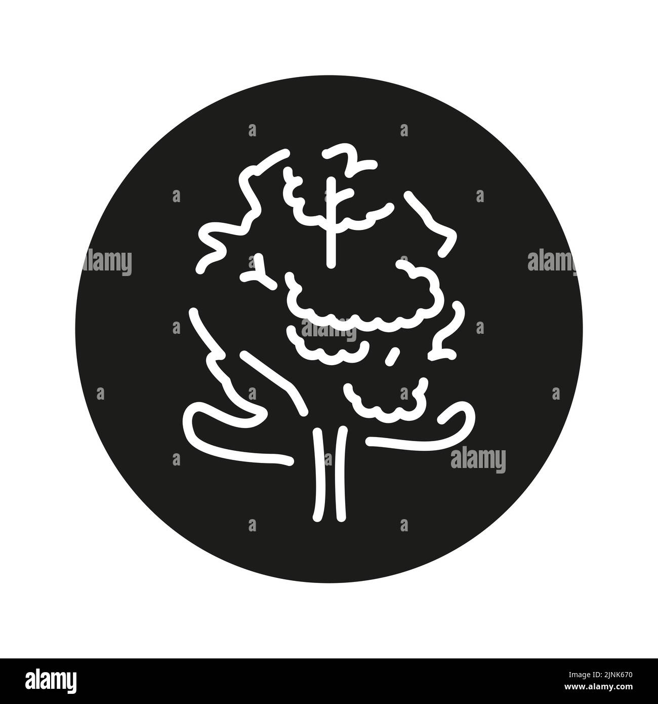 Alder tree illustration Stock Vector Images - Alamy