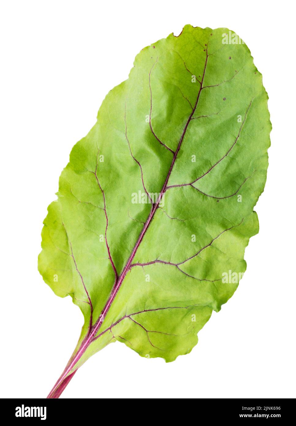 Beetroot lief isolated on white background. Clipping path Stock Photo