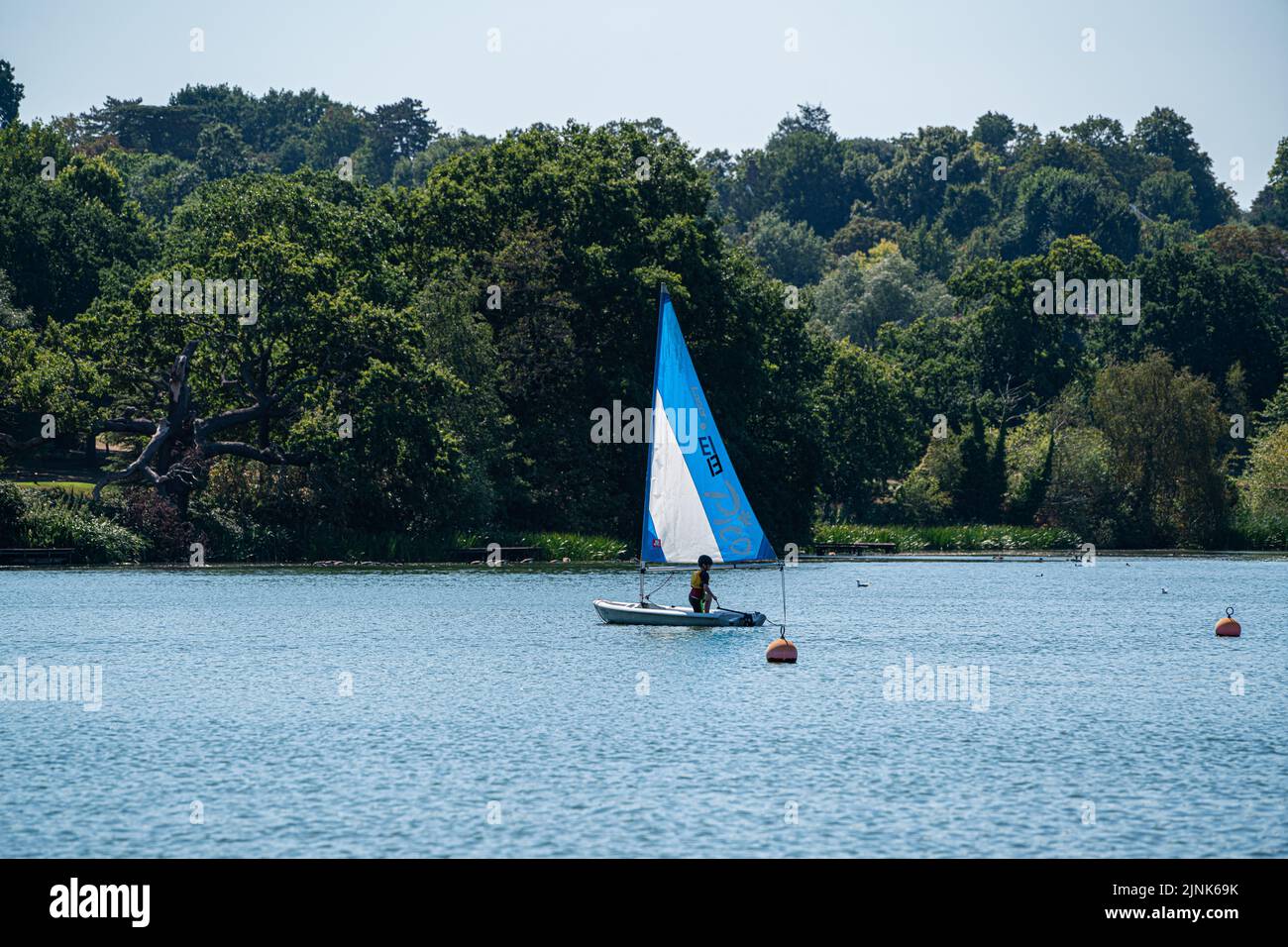 Wimbledon London, UK. 12 August 2022 . People enjoying boating on Sailing dinghies on the lake  in Wimbledon park south west London as temperatures are expected to hit up to 37c this weekend . The environment agency has declared drought  across eight areas of England  due to the prolonged dry conditions Credit. amer ghazzal/Alamy Live News Stock Photo