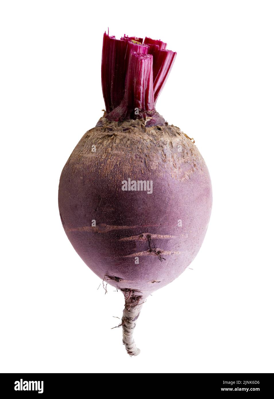 Fresh beetroot isolated on white background. Clipping path Stock Photo