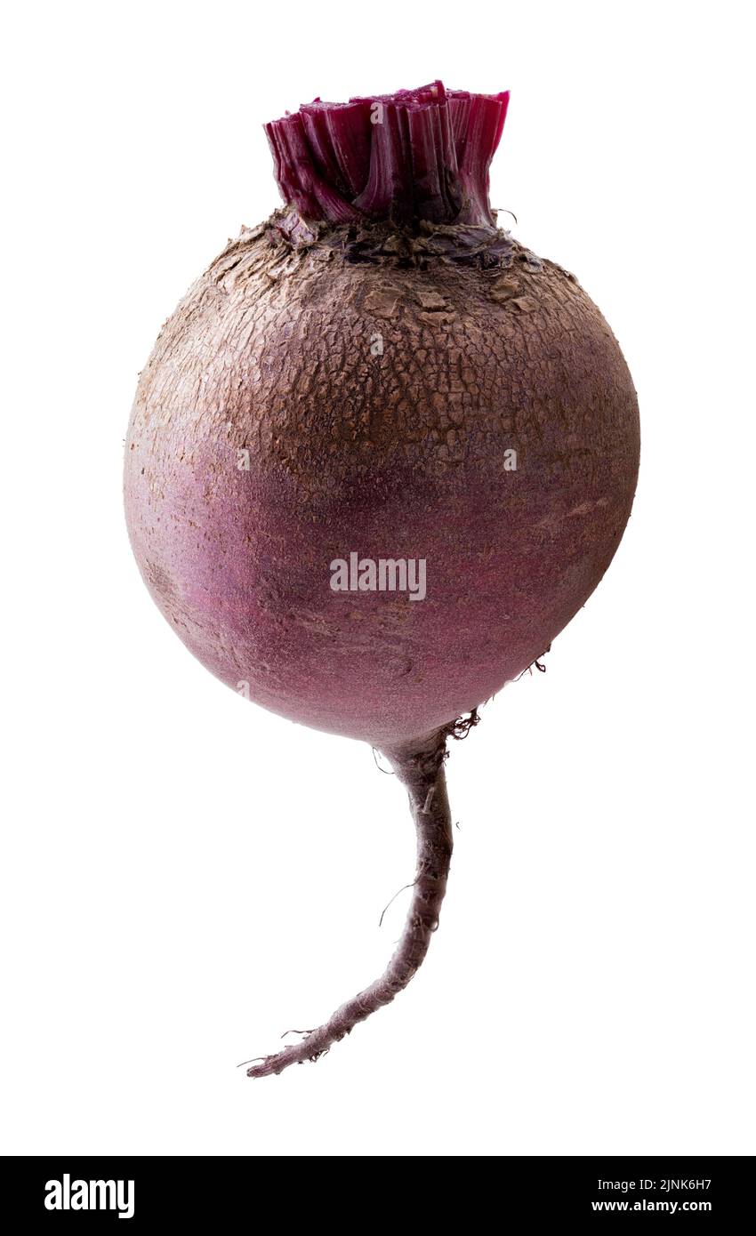 Fresh beetroot isolated on white background. Clipping path Stock Photo