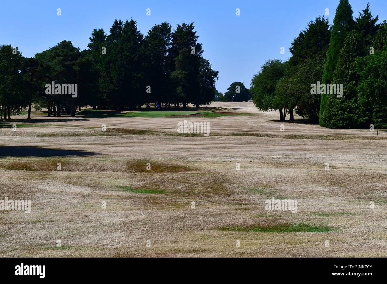 North Somerset, UK, 12/08/2022, Bristol, UK. 12th Aug, 2022. On very hot afternoon the Long Ashton Club fairways are seen cracked and very dried out due to Very Extreme temperatures in the UK, with the possibility of a Hose Pipe Ban nationally. PIcture Credit: Robert Timoney/Alamy Live News Stock Photo