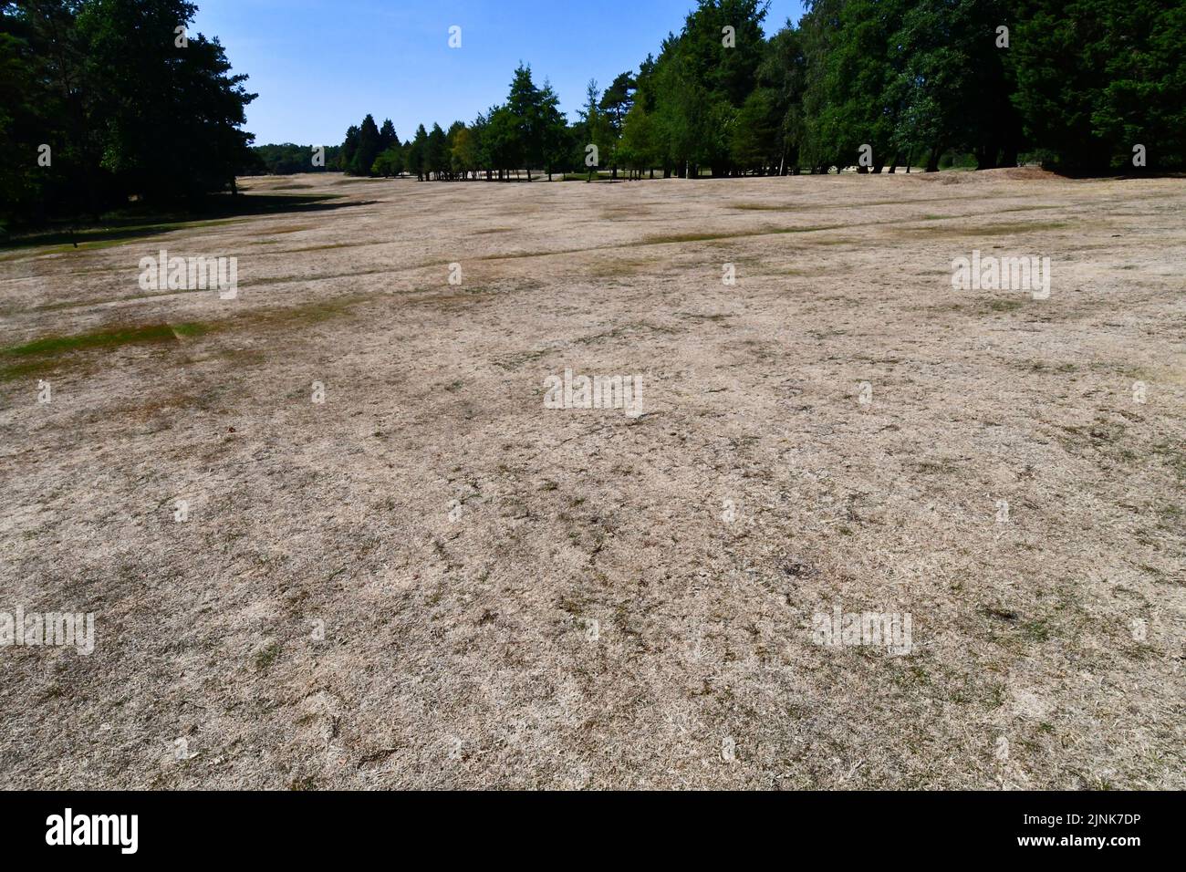 North Somerset, UK. 12th Aug, 2022. On very hot afternoon the Long Ashton Club fairways are seen cracked and very dried out due to Very Extreme temperatures in the UK, with the possibility of a Hose Pipe Ban nationally. PIcture Credit: Robert Timoney/Alamy Live News Stock Photo